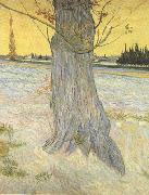 Vincent Van Gogh Trunk of an old Yew Tree (nn04) oil painting picture wholesale